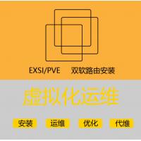 exsi pve服务器虚拟化 双软路由安装调试 技术支持 故障解决