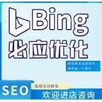 必应优化关键词网站推广排名自然排名首页bing网站收录SEO推广