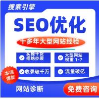 seo优化提高网站收录排名全行业首页关键词推广 大型网站实操经验